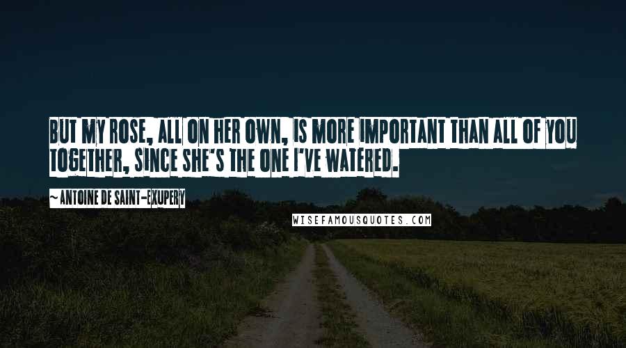 Antoine De Saint-Exupery Quotes: But my rose, all on her own, is more important than all of you together, since she's the one I've watered.