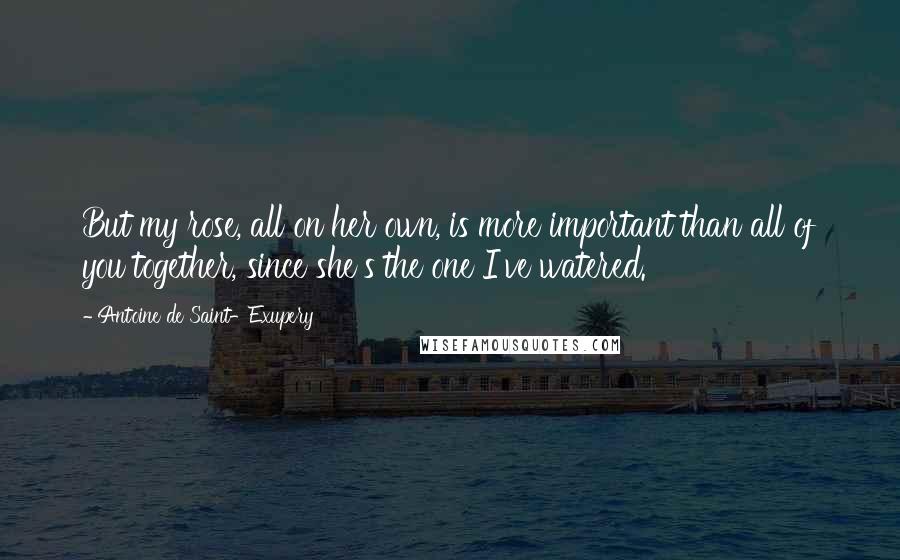 Antoine De Saint-Exupery Quotes: But my rose, all on her own, is more important than all of you together, since she's the one I've watered.