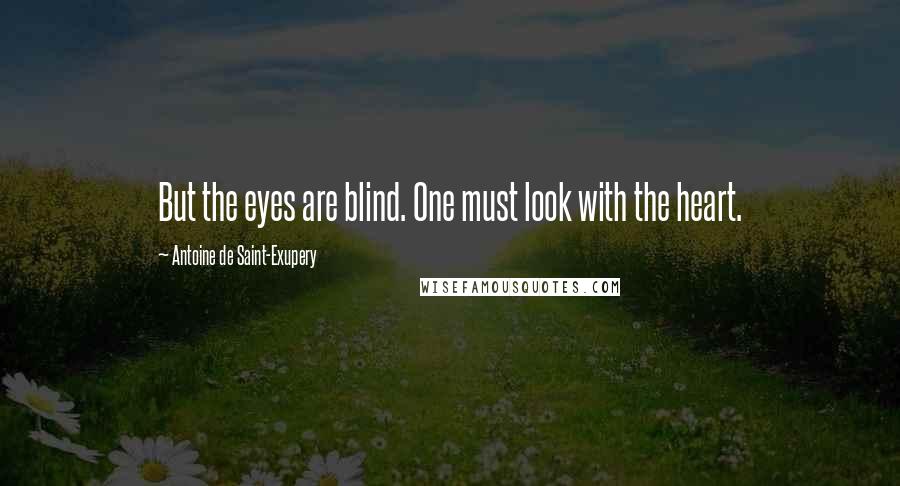 Antoine De Saint-Exupery Quotes: But the eyes are blind. One must look with the heart.