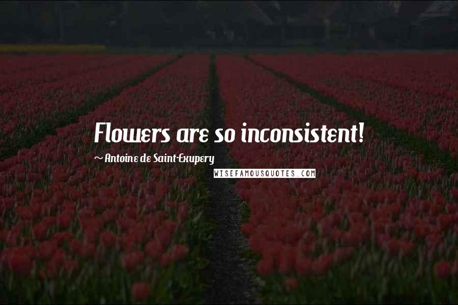 Antoine De Saint-Exupery Quotes: Flowers are so inconsistent!