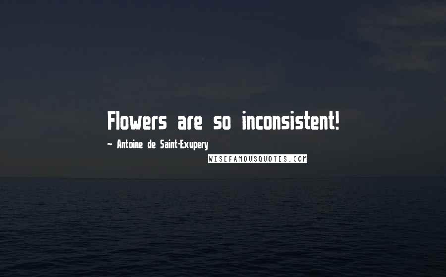 Antoine De Saint-Exupery Quotes: Flowers are so inconsistent!