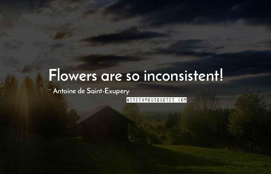 Antoine De Saint-Exupery Quotes: Flowers are so inconsistent!