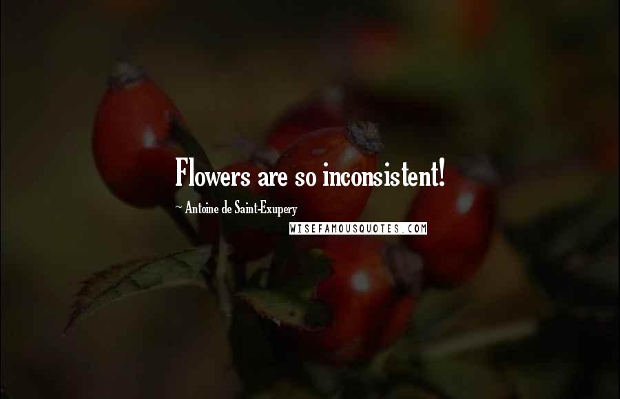 Antoine De Saint-Exupery Quotes: Flowers are so inconsistent!