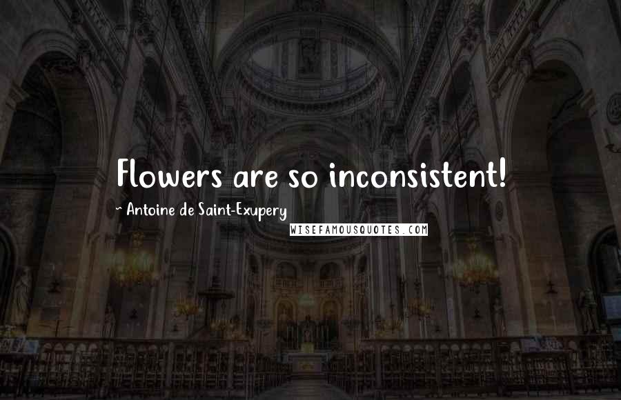 Antoine De Saint-Exupery Quotes: Flowers are so inconsistent!