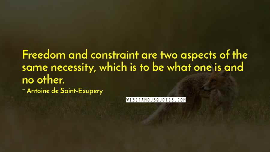 Antoine De Saint-Exupery Quotes: Freedom and constraint are two aspects of the same necessity, which is to be what one is and no other.