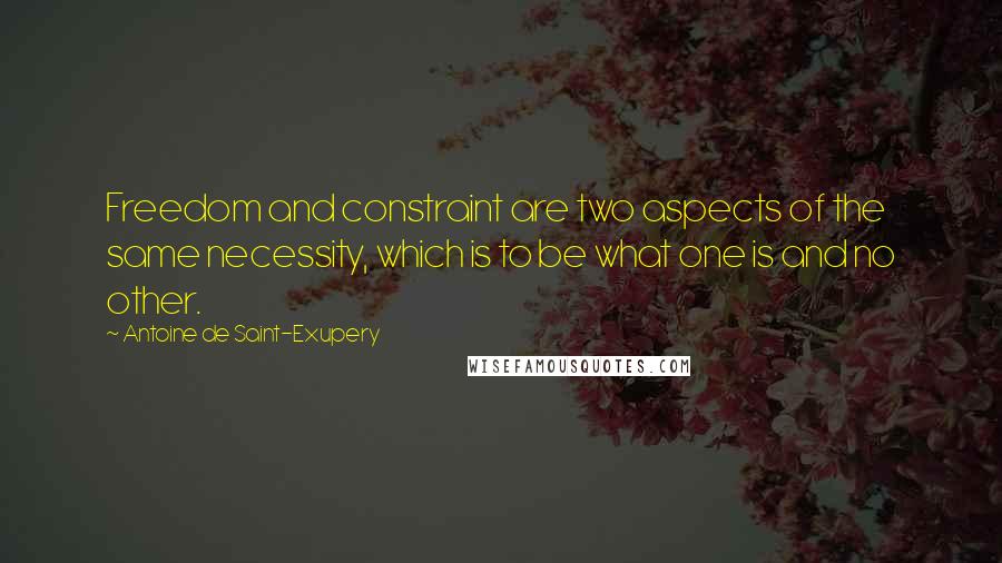 Antoine De Saint-Exupery Quotes: Freedom and constraint are two aspects of the same necessity, which is to be what one is and no other.