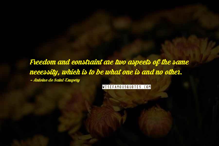 Antoine De Saint-Exupery Quotes: Freedom and constraint are two aspects of the same necessity, which is to be what one is and no other.