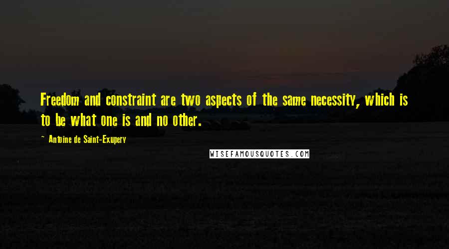 Antoine De Saint-Exupery Quotes: Freedom and constraint are two aspects of the same necessity, which is to be what one is and no other.