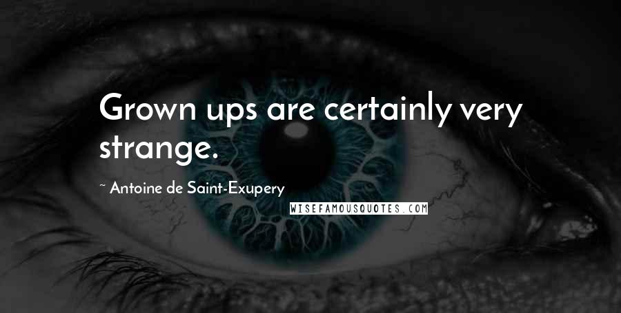 Antoine De Saint-Exupery Quotes: Grown ups are certainly very strange.