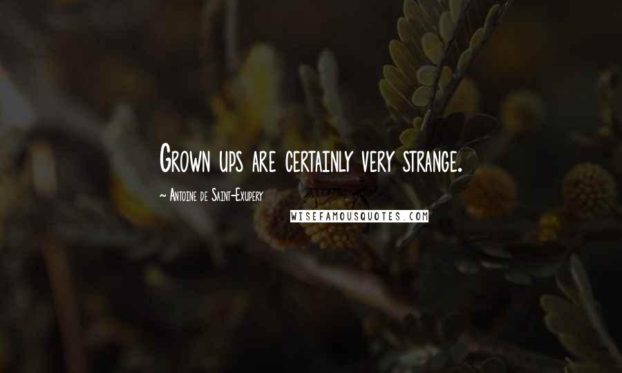 Antoine De Saint-Exupery Quotes: Grown ups are certainly very strange.