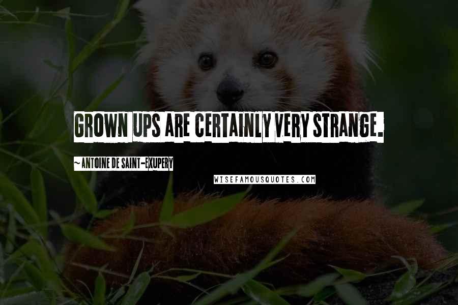 Antoine De Saint-Exupery Quotes: Grown ups are certainly very strange.