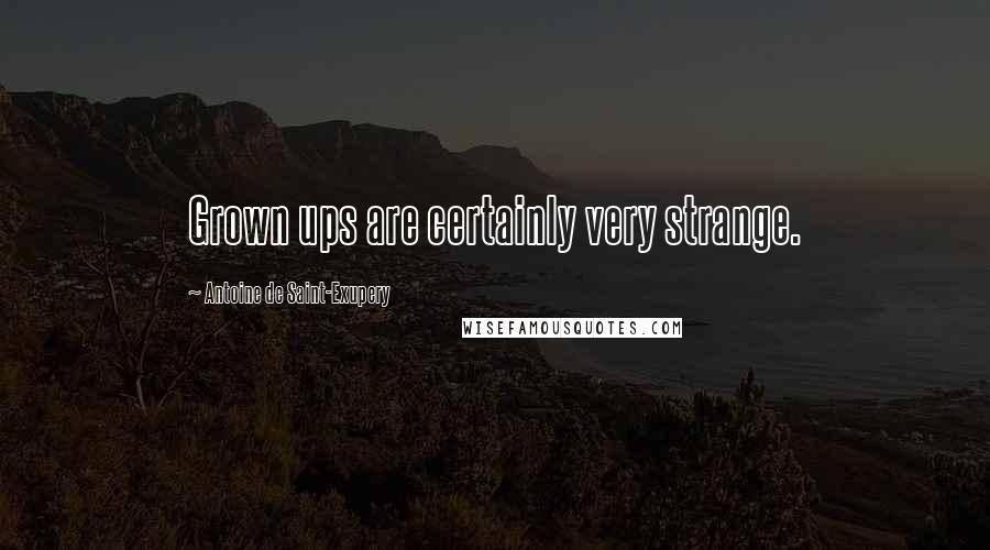 Antoine De Saint-Exupery Quotes: Grown ups are certainly very strange.