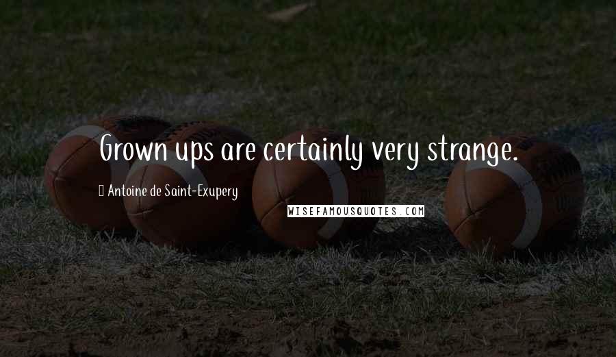 Antoine De Saint-Exupery Quotes: Grown ups are certainly very strange.