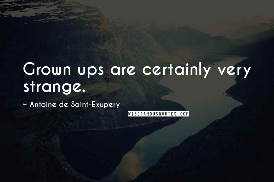 Antoine De Saint-Exupery Quotes: Grown ups are certainly very strange.