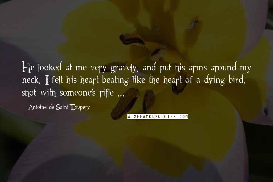 Antoine De Saint-Exupery Quotes: He looked at me very gravely, and put his arms around my neck. I felt his heart beating like the heart of a dying bird, shot with someone's rifle ...