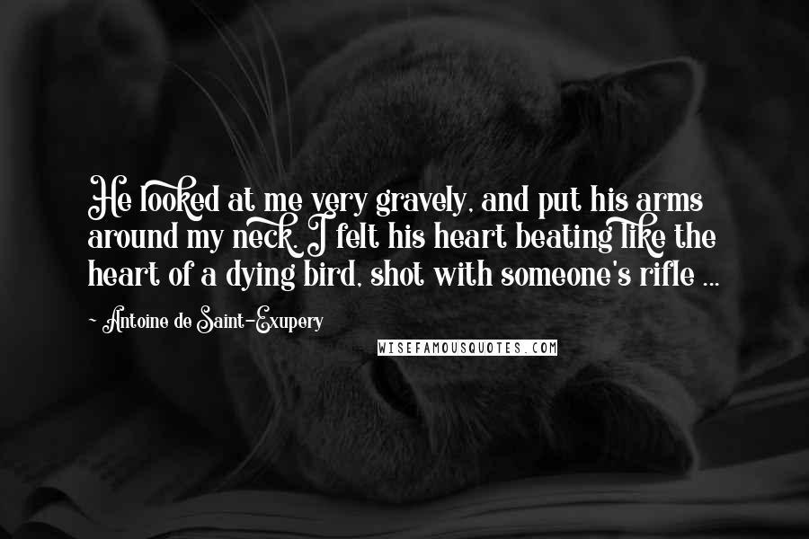 Antoine De Saint-Exupery Quotes: He looked at me very gravely, and put his arms around my neck. I felt his heart beating like the heart of a dying bird, shot with someone's rifle ...