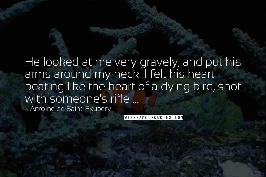 Antoine De Saint-Exupery Quotes: He looked at me very gravely, and put his arms around my neck. I felt his heart beating like the heart of a dying bird, shot with someone's rifle ...