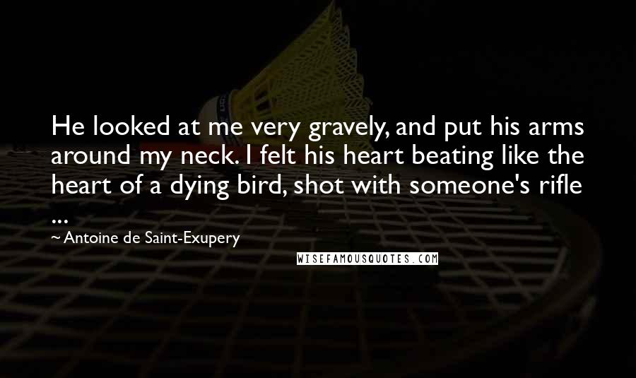 Antoine De Saint-Exupery Quotes: He looked at me very gravely, and put his arms around my neck. I felt his heart beating like the heart of a dying bird, shot with someone's rifle ...