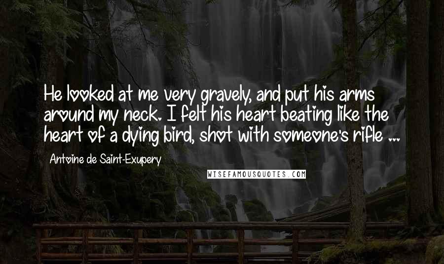 Antoine De Saint-Exupery Quotes: He looked at me very gravely, and put his arms around my neck. I felt his heart beating like the heart of a dying bird, shot with someone's rifle ...