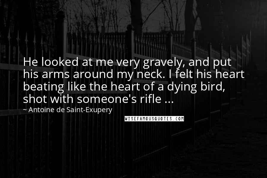 Antoine De Saint-Exupery Quotes: He looked at me very gravely, and put his arms around my neck. I felt his heart beating like the heart of a dying bird, shot with someone's rifle ...