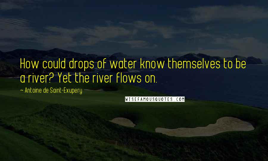 Antoine De Saint-Exupery Quotes: How could drops of water know themselves to be a river? Yet the river flows on.
