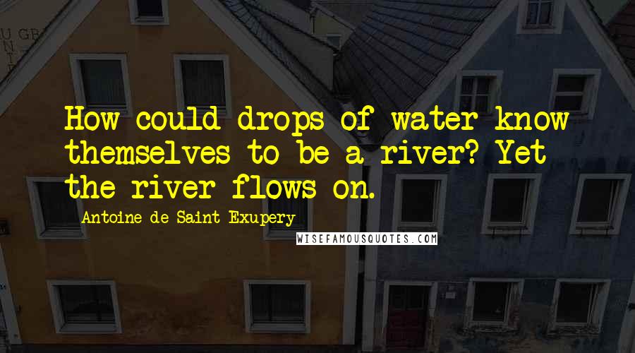 Antoine De Saint-Exupery Quotes: How could drops of water know themselves to be a river? Yet the river flows on.