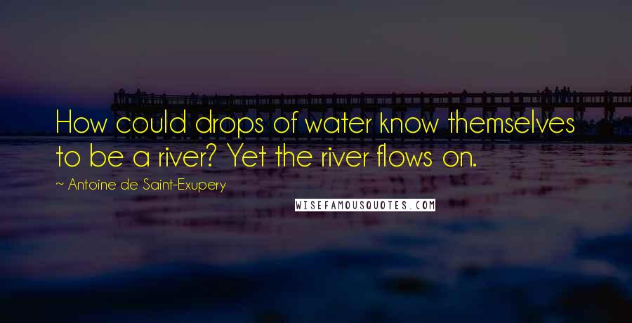 Antoine De Saint-Exupery Quotes: How could drops of water know themselves to be a river? Yet the river flows on.