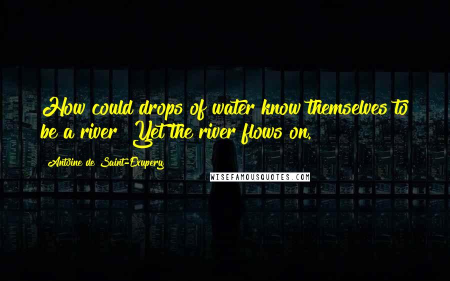 Antoine De Saint-Exupery Quotes: How could drops of water know themselves to be a river? Yet the river flows on.