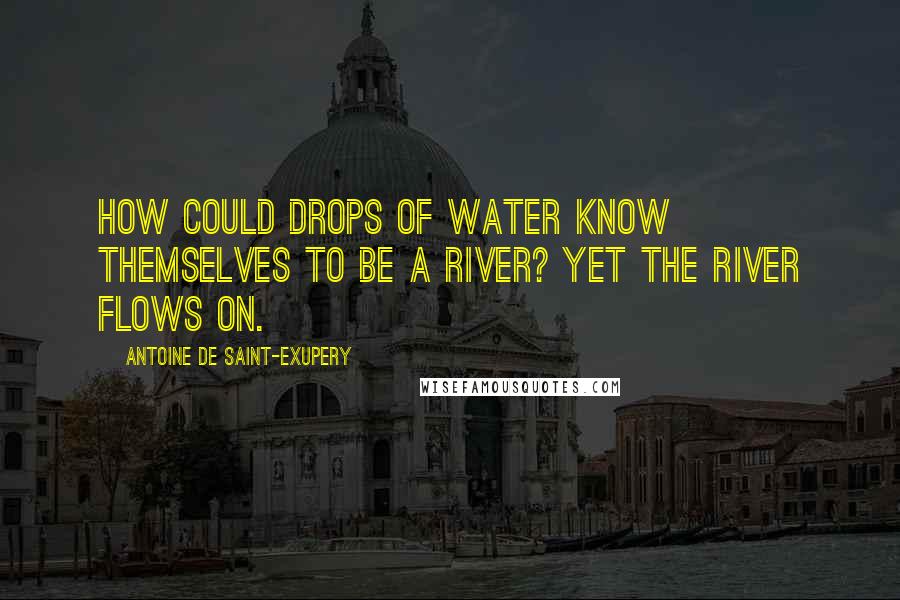 Antoine De Saint-Exupery Quotes: How could drops of water know themselves to be a river? Yet the river flows on.