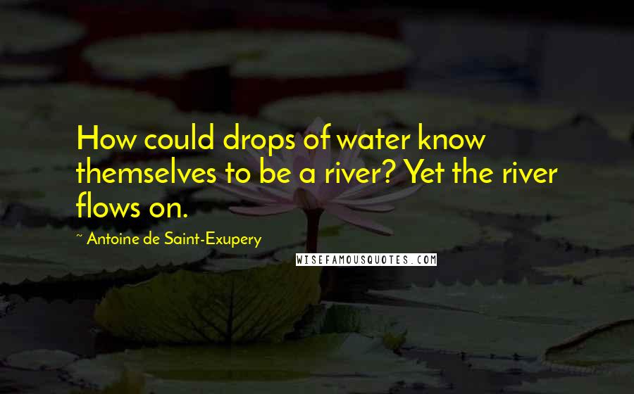 Antoine De Saint-Exupery Quotes: How could drops of water know themselves to be a river? Yet the river flows on.