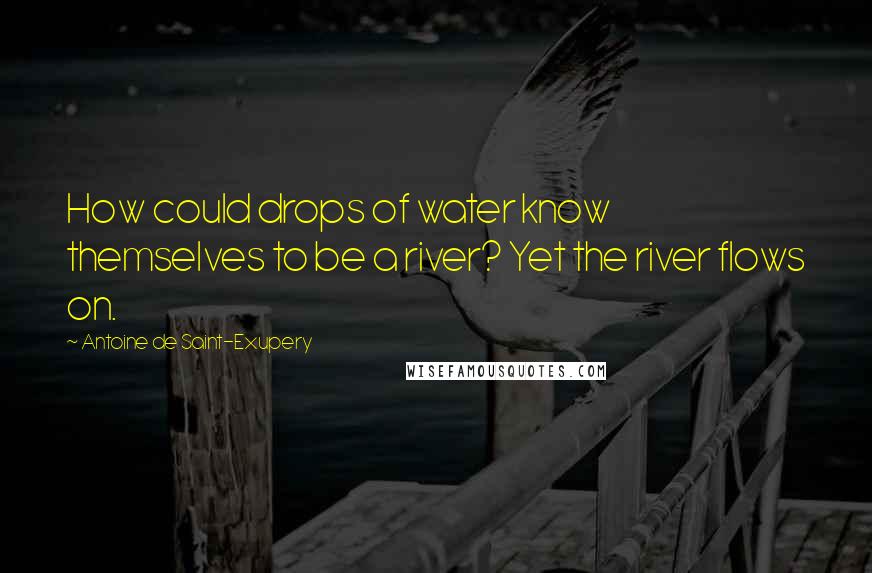 Antoine De Saint-Exupery Quotes: How could drops of water know themselves to be a river? Yet the river flows on.