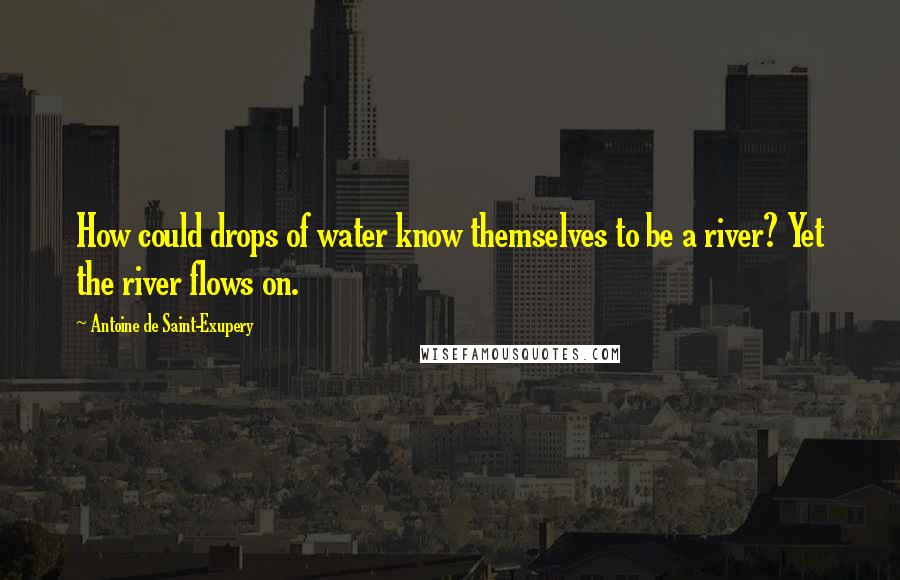 Antoine De Saint-Exupery Quotes: How could drops of water know themselves to be a river? Yet the river flows on.