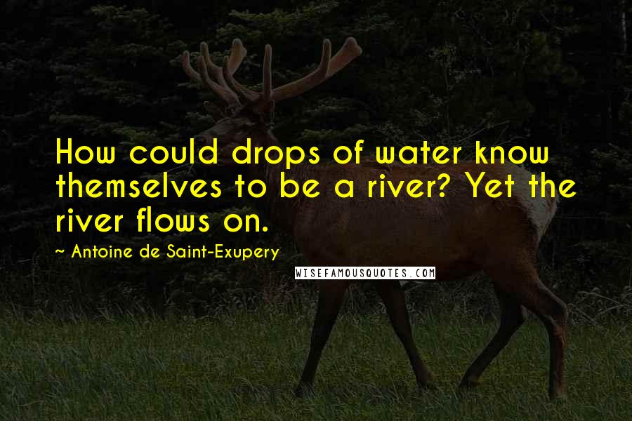 Antoine De Saint-Exupery Quotes: How could drops of water know themselves to be a river? Yet the river flows on.