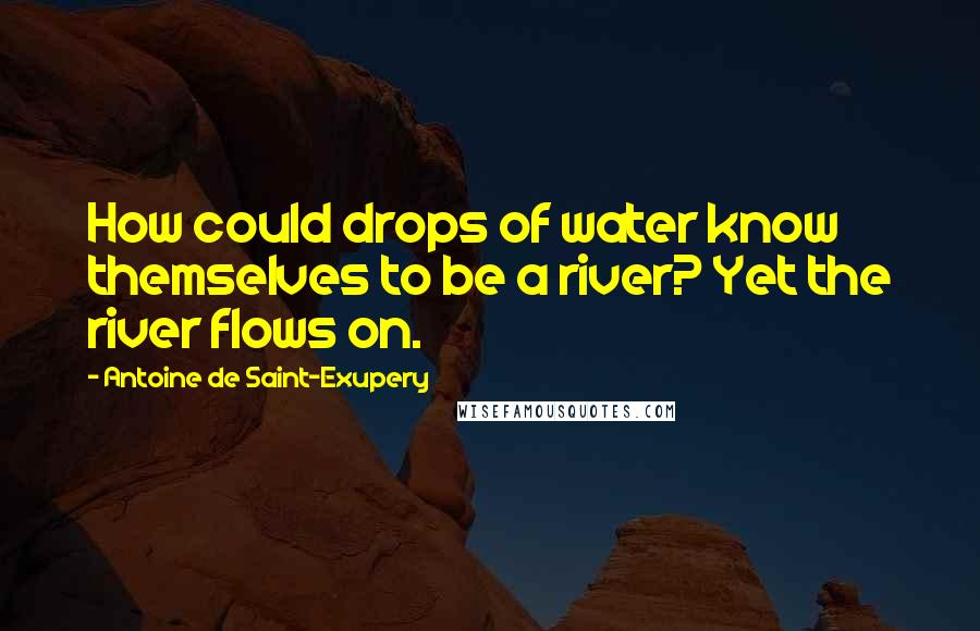 Antoine De Saint-Exupery Quotes: How could drops of water know themselves to be a river? Yet the river flows on.