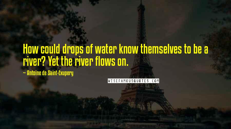 Antoine De Saint-Exupery Quotes: How could drops of water know themselves to be a river? Yet the river flows on.