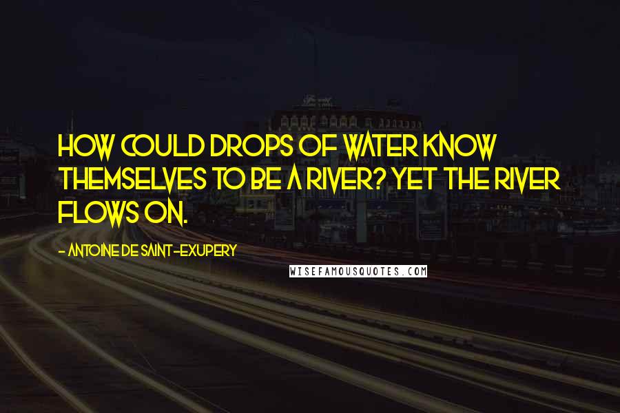 Antoine De Saint-Exupery Quotes: How could drops of water know themselves to be a river? Yet the river flows on.