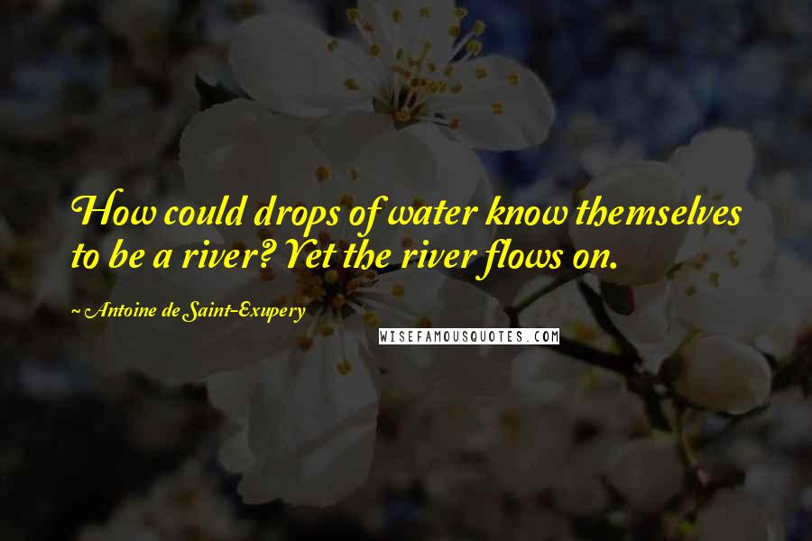 Antoine De Saint-Exupery Quotes: How could drops of water know themselves to be a river? Yet the river flows on.