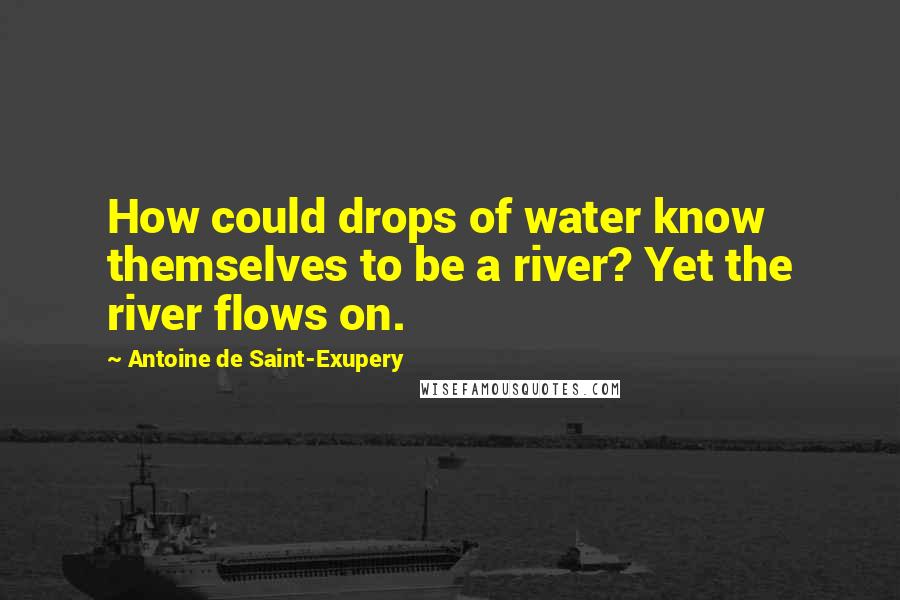 Antoine De Saint-Exupery Quotes: How could drops of water know themselves to be a river? Yet the river flows on.