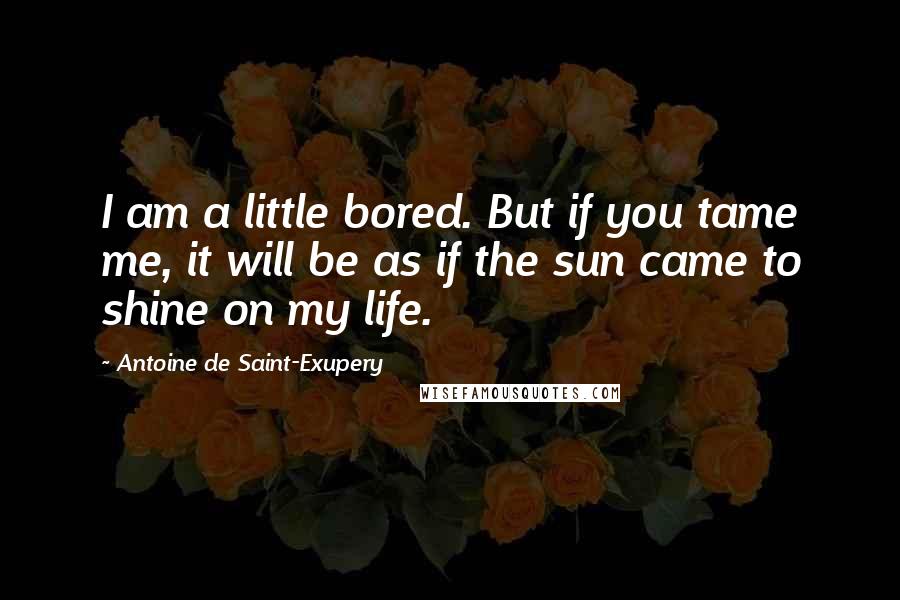 Antoine De Saint-Exupery Quotes: I am a little bored. But if you tame me, it will be as if the sun came to shine on my life.