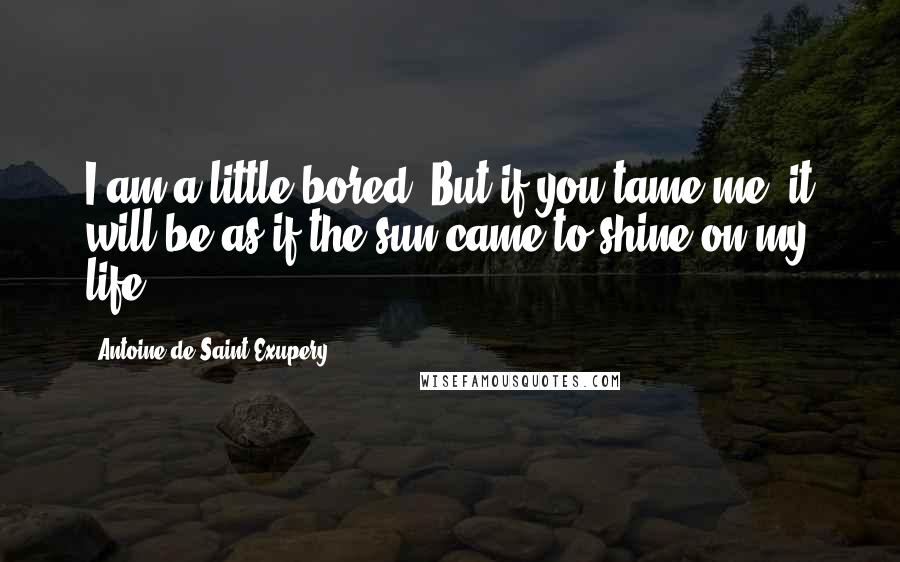 Antoine De Saint-Exupery Quotes: I am a little bored. But if you tame me, it will be as if the sun came to shine on my life.