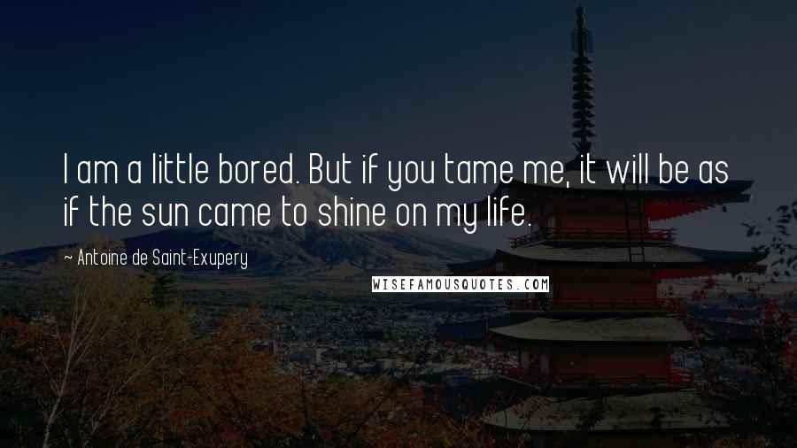 Antoine De Saint-Exupery Quotes: I am a little bored. But if you tame me, it will be as if the sun came to shine on my life.