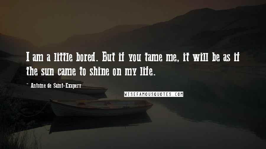 Antoine De Saint-Exupery Quotes: I am a little bored. But if you tame me, it will be as if the sun came to shine on my life.