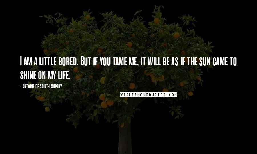 Antoine De Saint-Exupery Quotes: I am a little bored. But if you tame me, it will be as if the sun came to shine on my life.