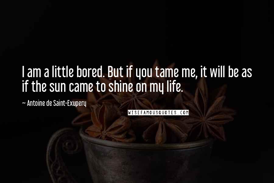 Antoine De Saint-Exupery Quotes: I am a little bored. But if you tame me, it will be as if the sun came to shine on my life.