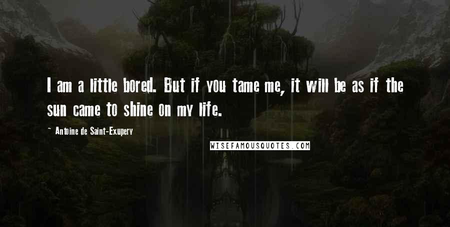 Antoine De Saint-Exupery Quotes: I am a little bored. But if you tame me, it will be as if the sun came to shine on my life.