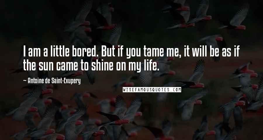 Antoine De Saint-Exupery Quotes: I am a little bored. But if you tame me, it will be as if the sun came to shine on my life.