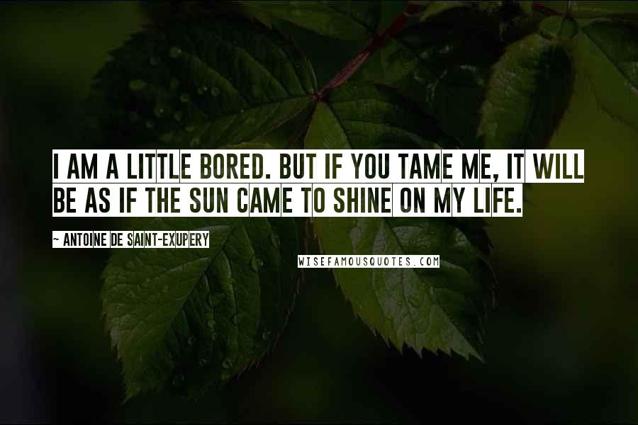 Antoine De Saint-Exupery Quotes: I am a little bored. But if you tame me, it will be as if the sun came to shine on my life.