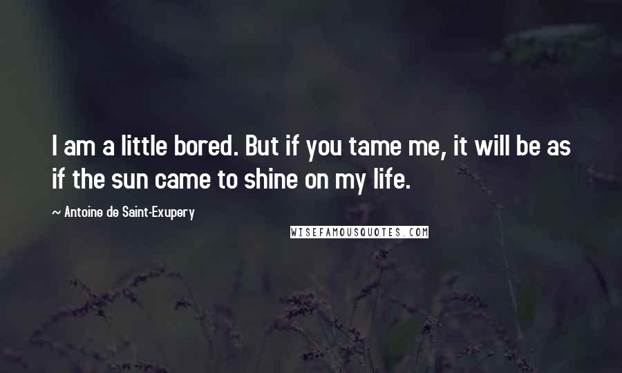Antoine De Saint-Exupery Quotes: I am a little bored. But if you tame me, it will be as if the sun came to shine on my life.