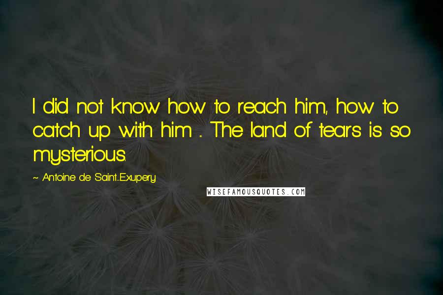 Antoine De Saint-Exupery Quotes: I did not know how to reach him, how to catch up with him ... The land of tears is so mysterious.