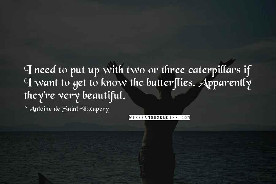 Antoine De Saint-Exupery Quotes: I need to put up with two or three caterpillars if I want to get to know the butterflies. Apparently they're very beautiful.